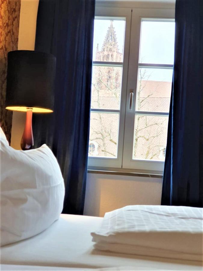 Luxus Apartment Ludwigxv Friburgo de Brisgovia Exterior foto